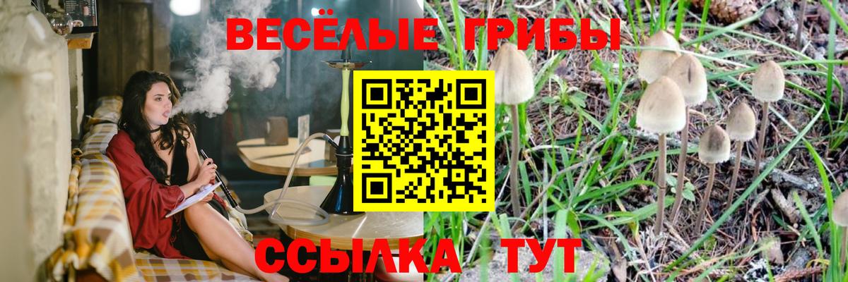 Нурлат  Псилоцибиновые грибы GOLDEN TEACHER  Вход с VPN 