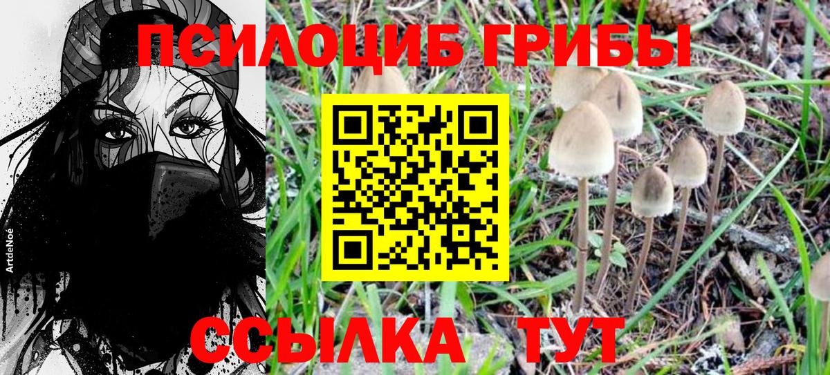 Псилоцибиновые грибы Psilocybine cubensis Нурлат